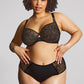 Panache: Sophia Deep Brief