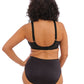 Elomi:  Cate Underwire Bra